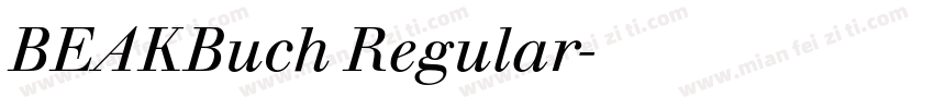 BEAKBuch Regular字体转换